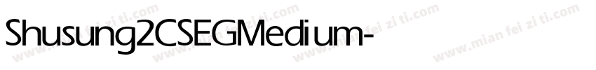 Shusung2CSEG Medium字体转换